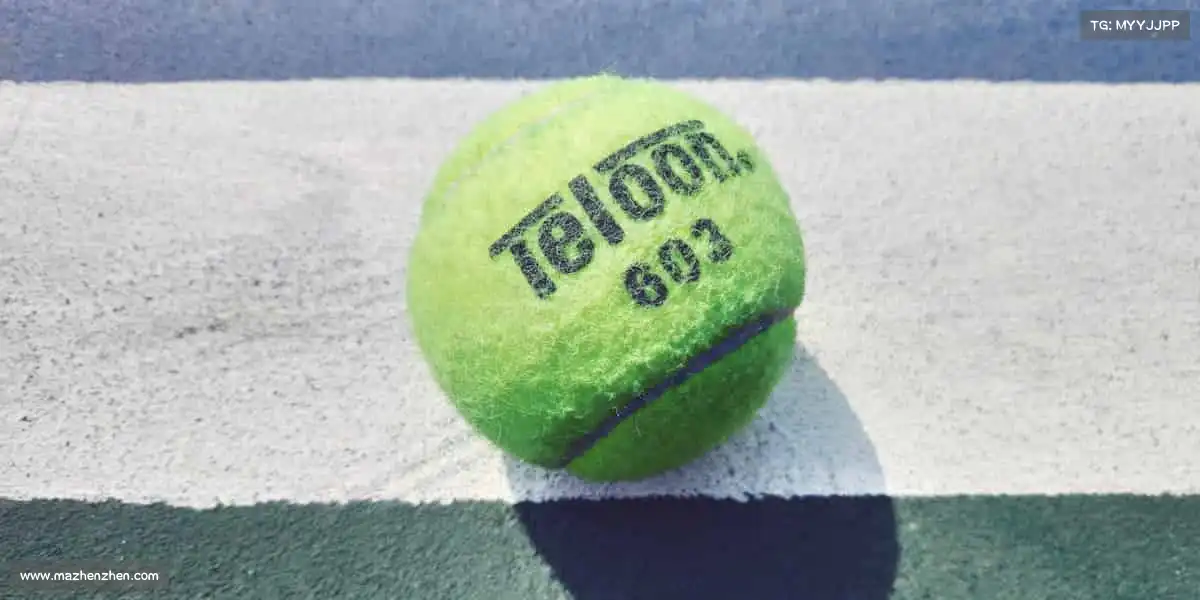 黄金网站9.1免费入口不用登录入口🎞️ 传承影视经典底蕴,突破创作边界书写新篇章